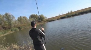 ЛОВЛЯ КАРАСЯ на ФИДЕР ОСЕНЬЮ. УЛОВИСТЫЙ МОНТАЖ с ДВУМЯ