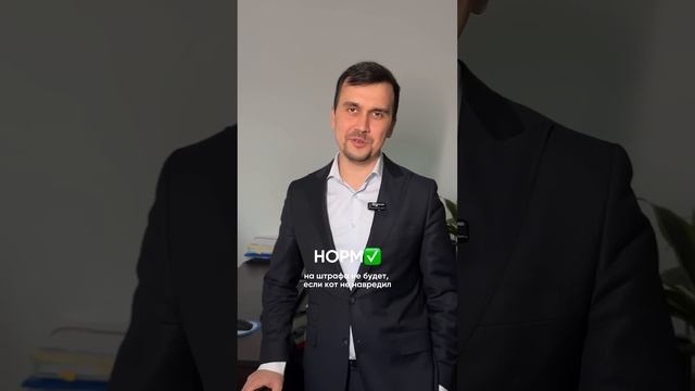 СТРЁМ или НОРМ юридическая версия @khayrullin_ramis