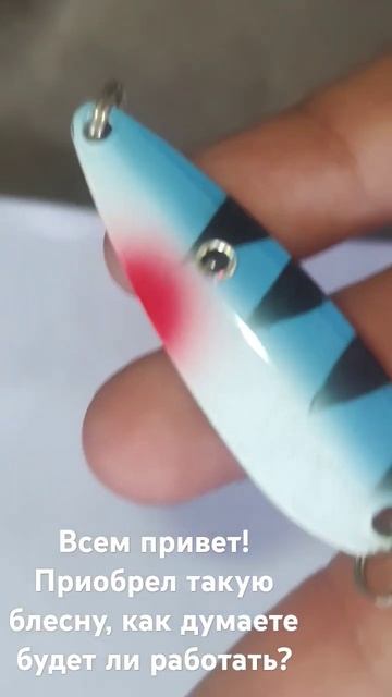 #рыбалка#блесна#2024shorts смотреть онлайн