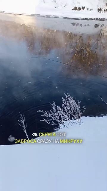 зимний спининг поймали огромного окуня #shortvideo #рыбалк?