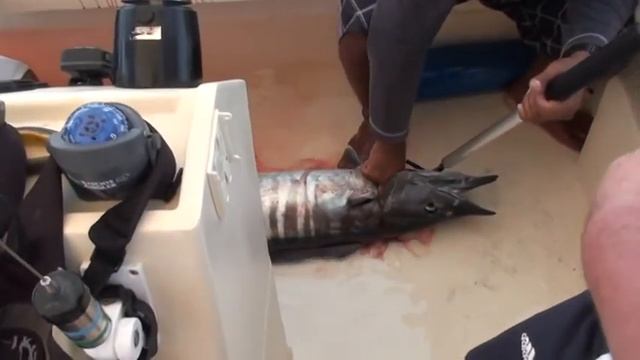 Рыбалка на Тихом Океане. Costa Rica Февраль 2009 год. смотреть онлайн