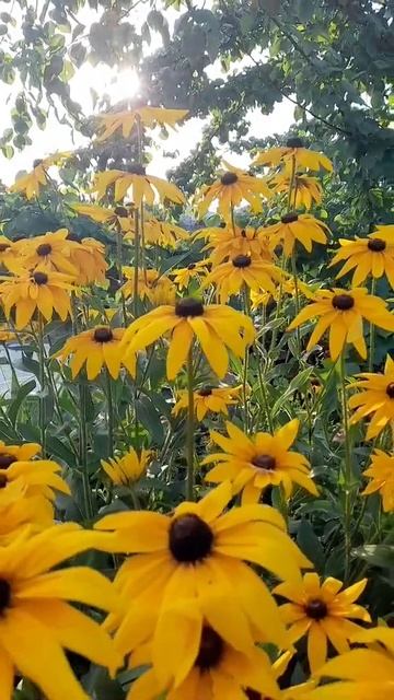 МИНИ-ВИДЕО || OVSCANKA || БАССЕЙН смотреть онлайн