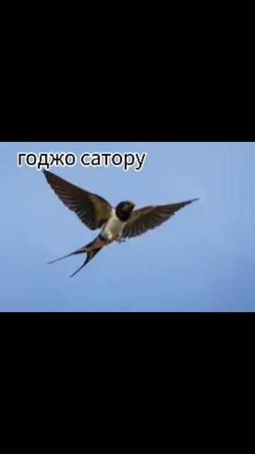 АХАХПХХПППХПХ(короче бригада что есть обычная ласточ? смотреть онлайн