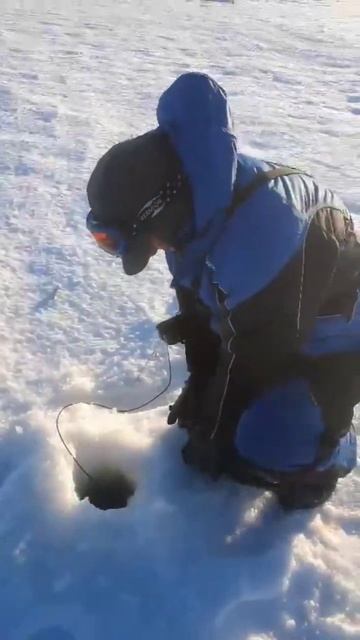 Отпускаем судака. смотреть онлайн