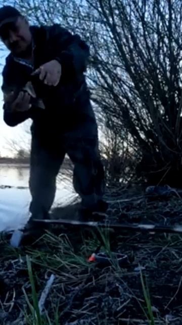 Супер клёв карася short #shorts смотреть онлайн