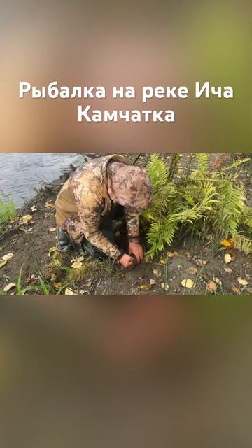 Рыбалка на реке Ича, Камчатка. #камчатка #рыбалка #прир?
