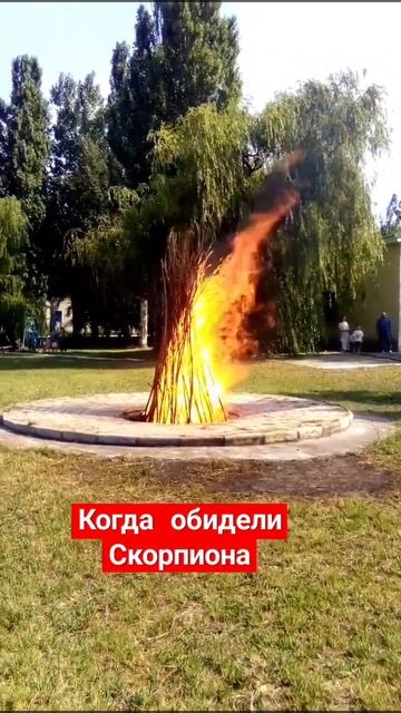 Когда обидели Скорпиона ♏️ #Скорпион #зодиак #знакизо