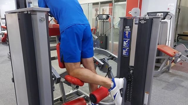 Сгибания голени стоя смотреть онлайн