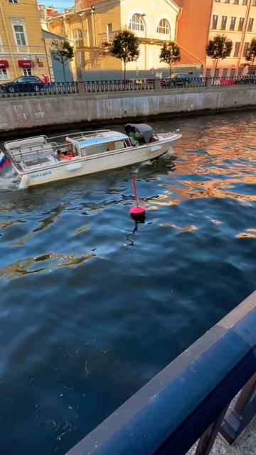 Лето. Лето. Лето в Питере. #лето #питер #петербург смотреть онлайн