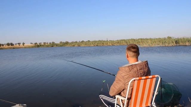 Рыбалка в Крыму на дикаре#carpfishing #fish #fishing #fishingvideo #карп #