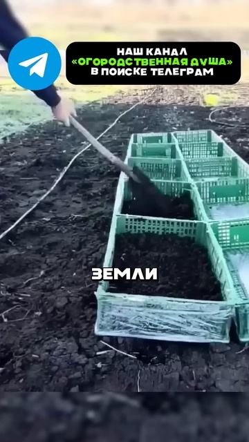 Все дачники были в восторге от этого изобретения #огор смотреть онлайн