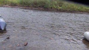 17 Серия Ловля Хариуса по 3 Рыбы Сразу Алтайская Балда У