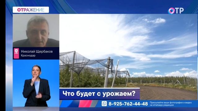 Запись прямого эфира телеканала ОТР программа ОТРажение