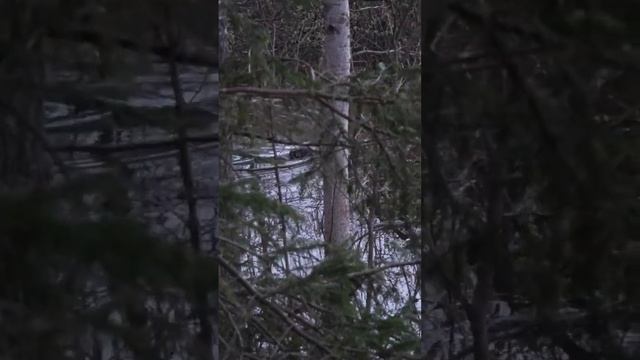 Время проведённое на природе в счёт жизни не идёт.