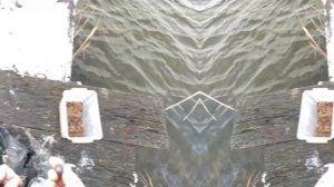 Сетка с кормушкой, с алиэкспресс.