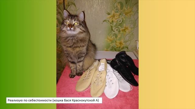 Акция Центра внешкольной работы "Мой домашний питомец смотреть онлайн