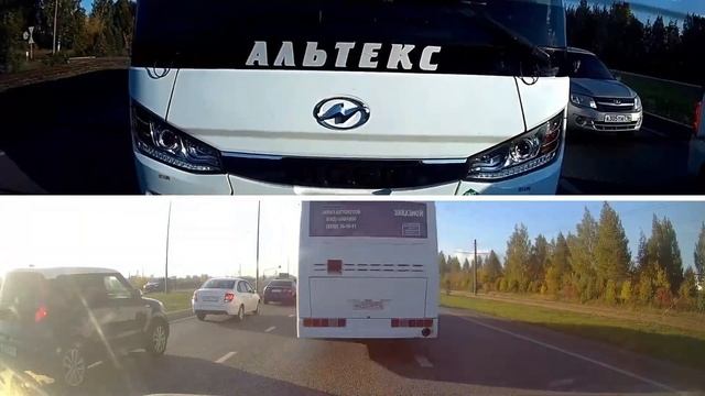 Очень наглые обочечники. смотреть онлайн