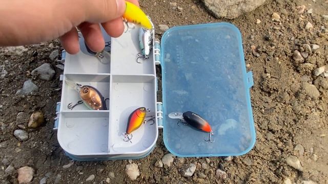 ОБЬ. ЛОВЛЯ ЯЗЯ НА СПИННИНГ.