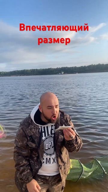 ВПЕЧАТЛЯЮЩИЙ РАЗМЕР #рыбалкавидео #фидер #рыбалка #юмо смотреть онлайн