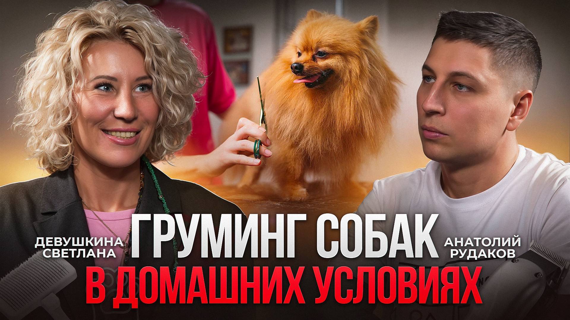 Груминг в домашних условиях. Что нужно делать, что бы ваша собака была ухоженной? смотреть онлайн