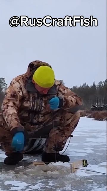 ОГРОМНАЯ ЩУКА НА ЖЕРЛИЦУ! СМОТРЕТЬ ВСЕМ! смотреть онлайн