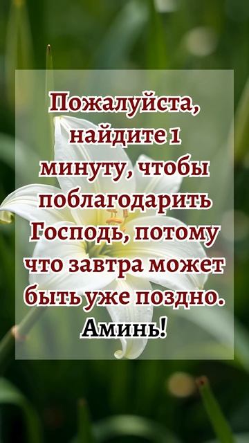 🙏Пожалуйста, найдите 1 минуту, чтобы поблагодарить Го смотреть онлайн