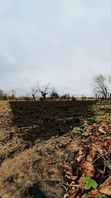 Подготовка земли к посадке.#shorts смотреть онлайн