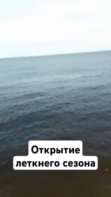 летняя рыбалка на крайнем севере/#рыбалка #топ #fishing #shor смотреть онлайн