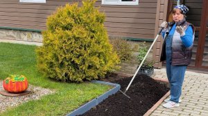 Розы. Новый проект.