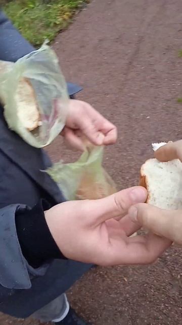 кормление уток на пруду лечит душу