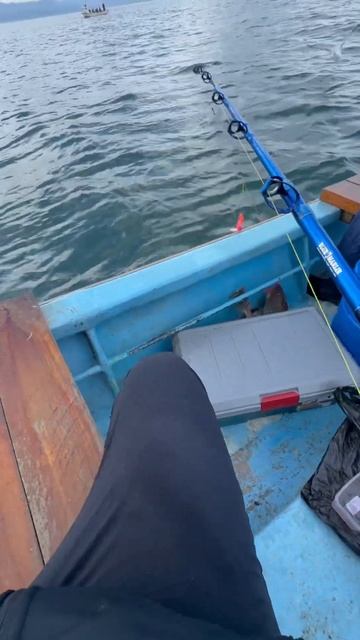 #сахалин #рыбалка #еда #fishing смотреть онлайн