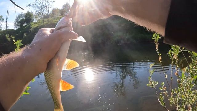 Поиск ГОЛАВЛЯ на новых местах. Ловля ГОЛАВЛЯ НА СПИННИ