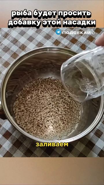 Рыба будет просить добавки #карась #carpfishing #рецепт #рыб? смотреть онлайн
