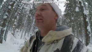 Охота на Лося 2024-25.