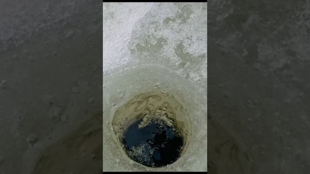 Зимняя рыбалка на сига смотреть онлайн