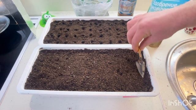 Лук Эксибишен смотреть онлайн