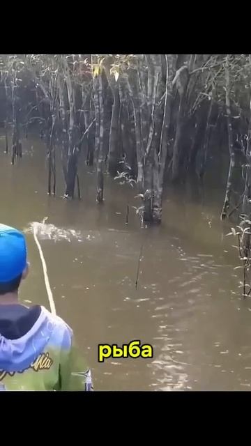 #fishing #рыбалка РЫБАЛКА НА ПАЛКУ смотреть онлайн