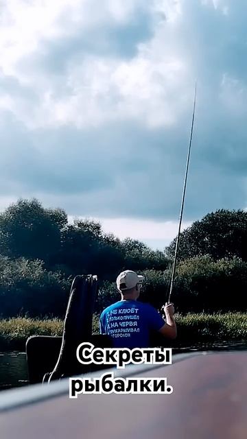 Секреты рыбалки. #fishing #юмор #рыбалка #рыба #рецепты #рец смотреть онлайн