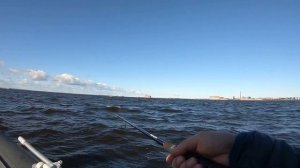 Рыбалка на Финском заливе(ловля судака)