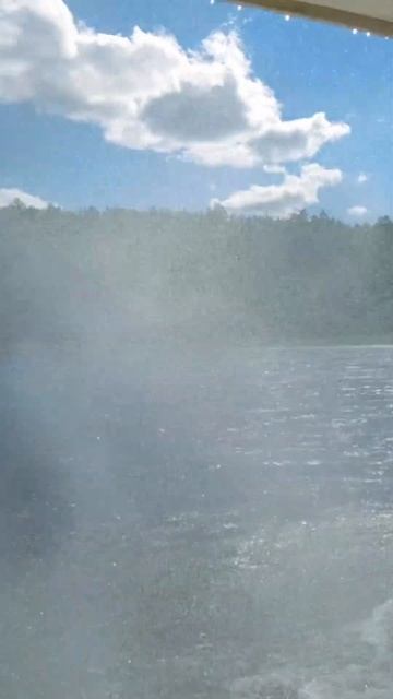 Окунитесь в мир дикой природы смотреть онлайн