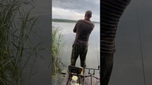 Ловля рыбы на телевизор (экран). Часть 2