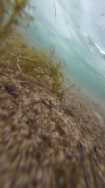 издёшь чистой воды асмр шортс shorts asmr подводный дрон по