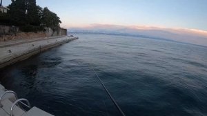 Спиннинг : Yamaga Blanks Blue Current 85 TZ/NANO, кальмар в Хорватии.