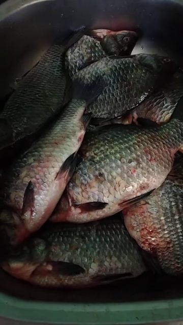 самая удачная рыбалка. смотреть онлайн