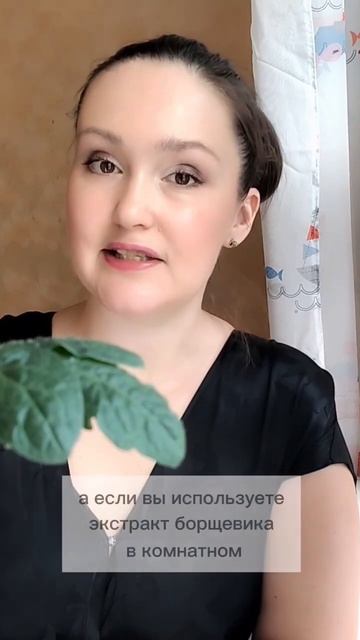 🌿💥 Борщевик: универсальное оружие для сада! 🌱🔥 #ог? смотреть онлайн