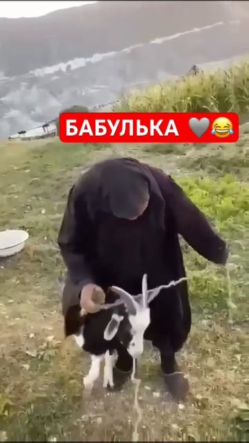 Кушать есть вода есть захруман есть 🤣🤣🤣🩶 смотреть онлайн