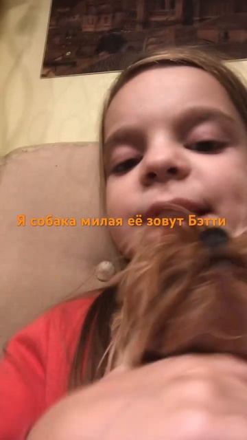 Собаку Завут Бетти унеё день рождения 7 декабря она де?