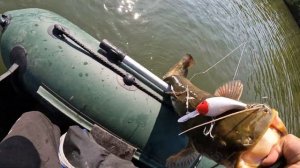 Ловля сома на троллинг . Учимся ловить монстров