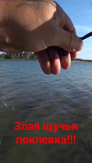 Рыбалка в НОВОСИБИРСКЕ!!! #ловлящуки #рыбалка #рыбалкав