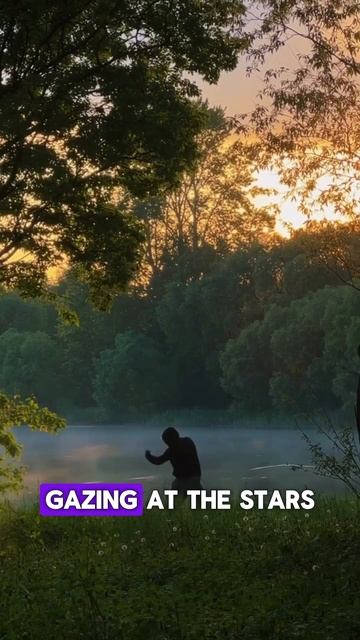 #мотивация #спорт #фитнес #motivation #sport #fitness #зож #трениров смотреть онлайн